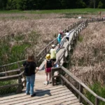 vaughan top destination